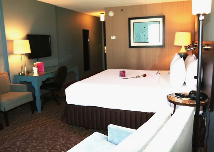 Hotel Crowne Plaza Chicago Ohare & Conf Ctr By Ihg