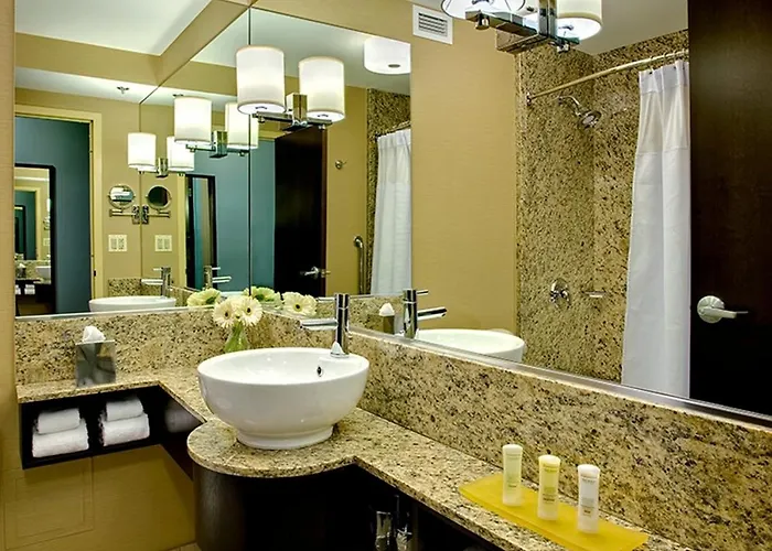 Crowne Plaza Chicago Ohare & Conf Ctr By Ihg Hotel Rosemont