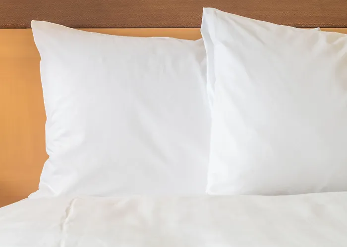 Hotel Crowne Plaza Chicago Ohare & Conf Ctr By Ihg 4*