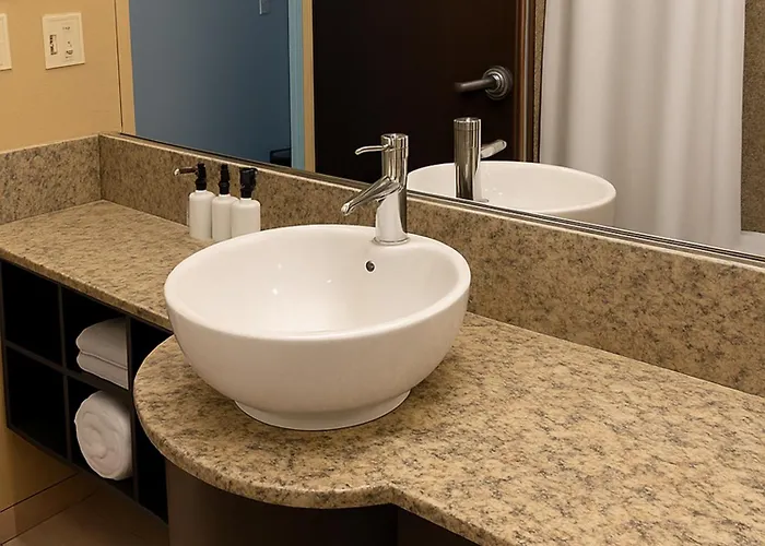 Crowne Plaza Chicago Ohare & Conf Ctr By Ihg Hotel