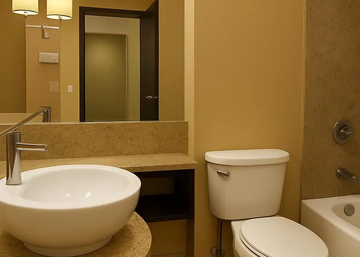 Crowne Plaza Chicago Ohare & Conf Ctr By Ihg Hotel Rosemont