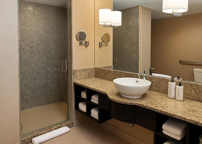 Crowne Plaza Chicago Ohare & Conf Ctr By Ihg 4*