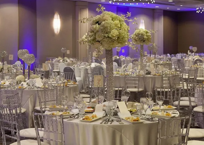 Hotel Crowne Plaza Chicago Ohare & Conf Ctr By Ihg 4*